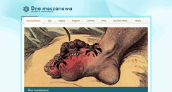 Desktop Screenshot of dnamoczanowa.com.pl