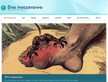 Tablet Screenshot of dnamoczanowa.com.pl